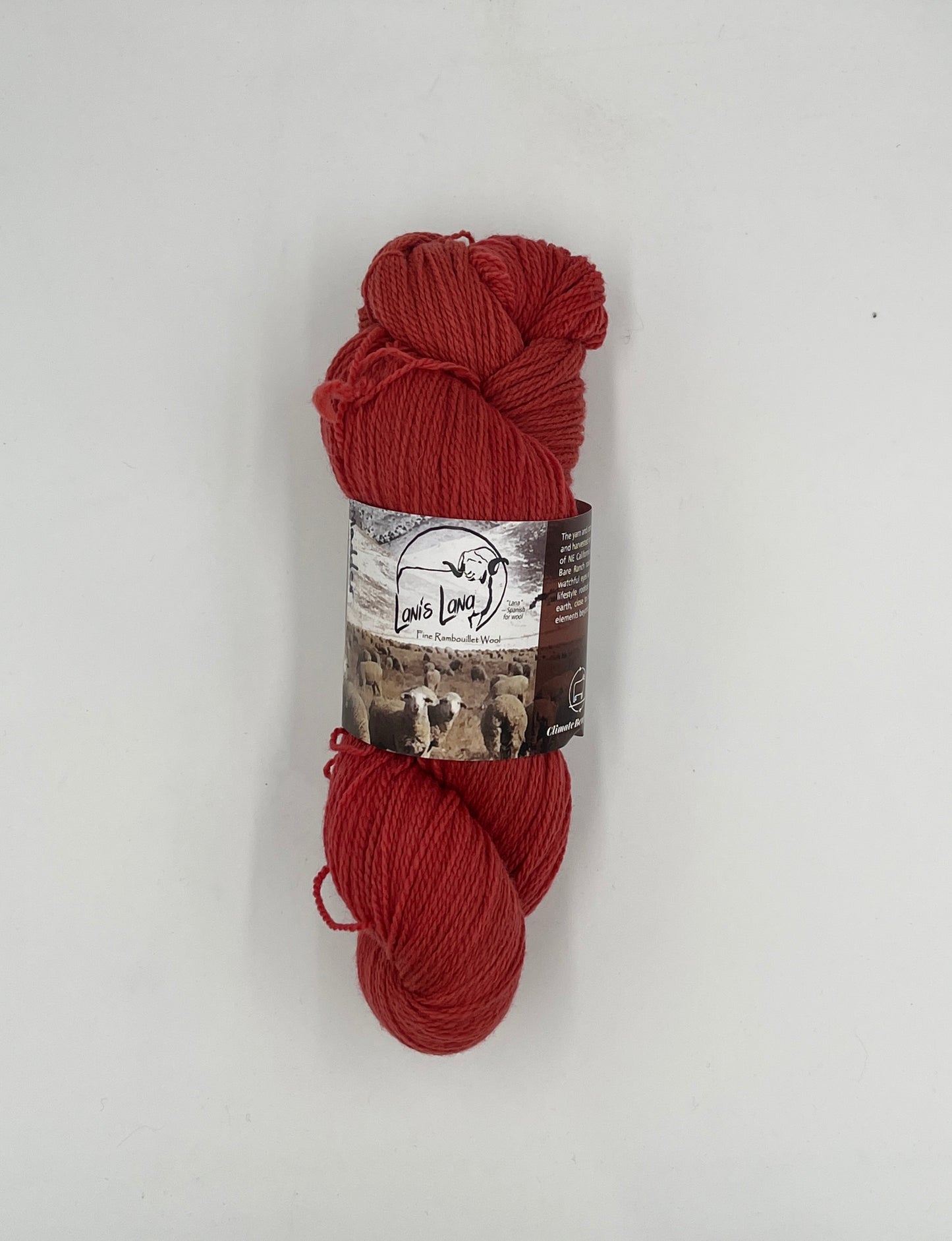 High Desert - Naturally Dyed Fingering Weight Yarn