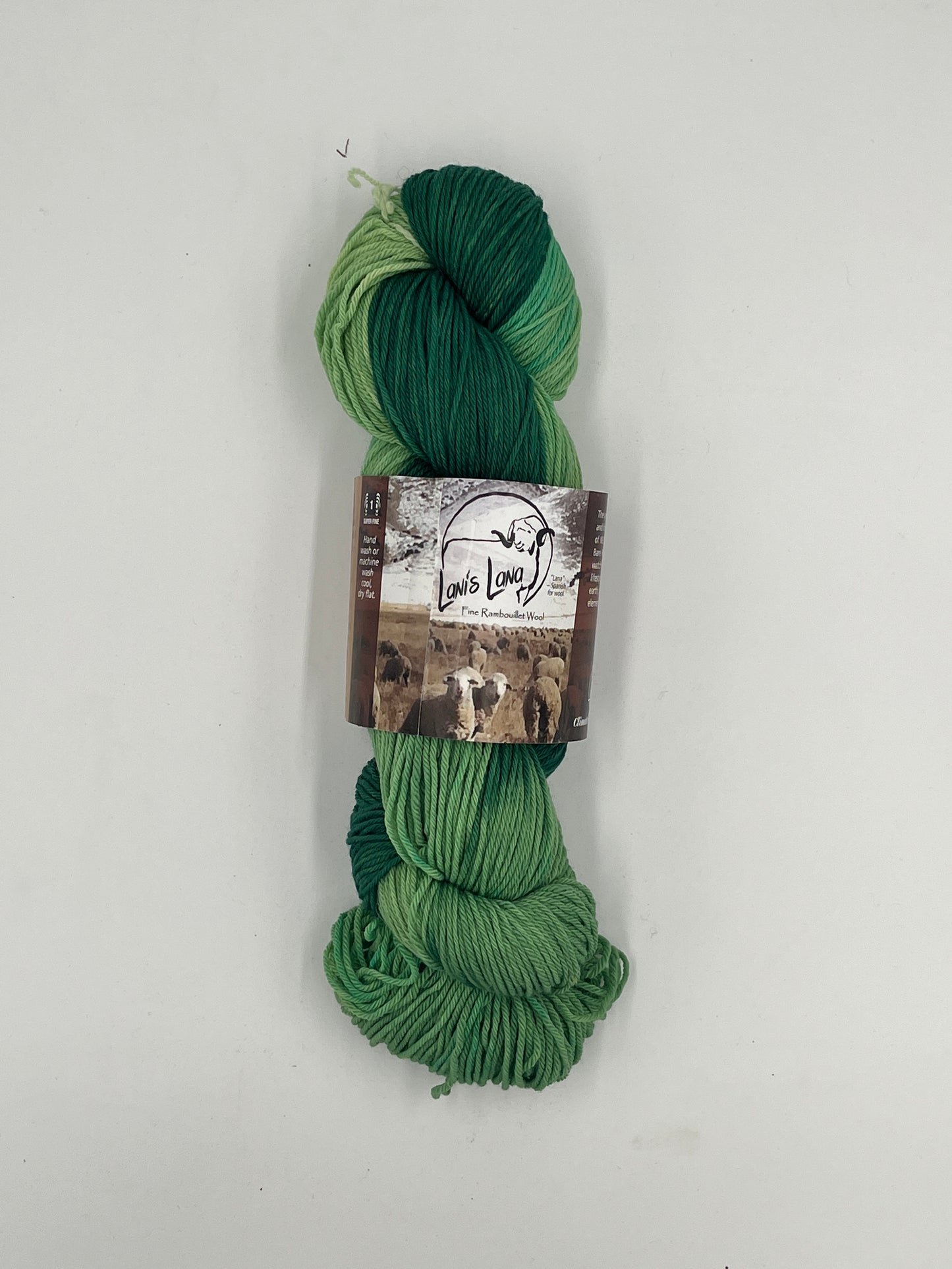 Cedar Pass - Studio Dyed Fingering Weight Superwash Yarn