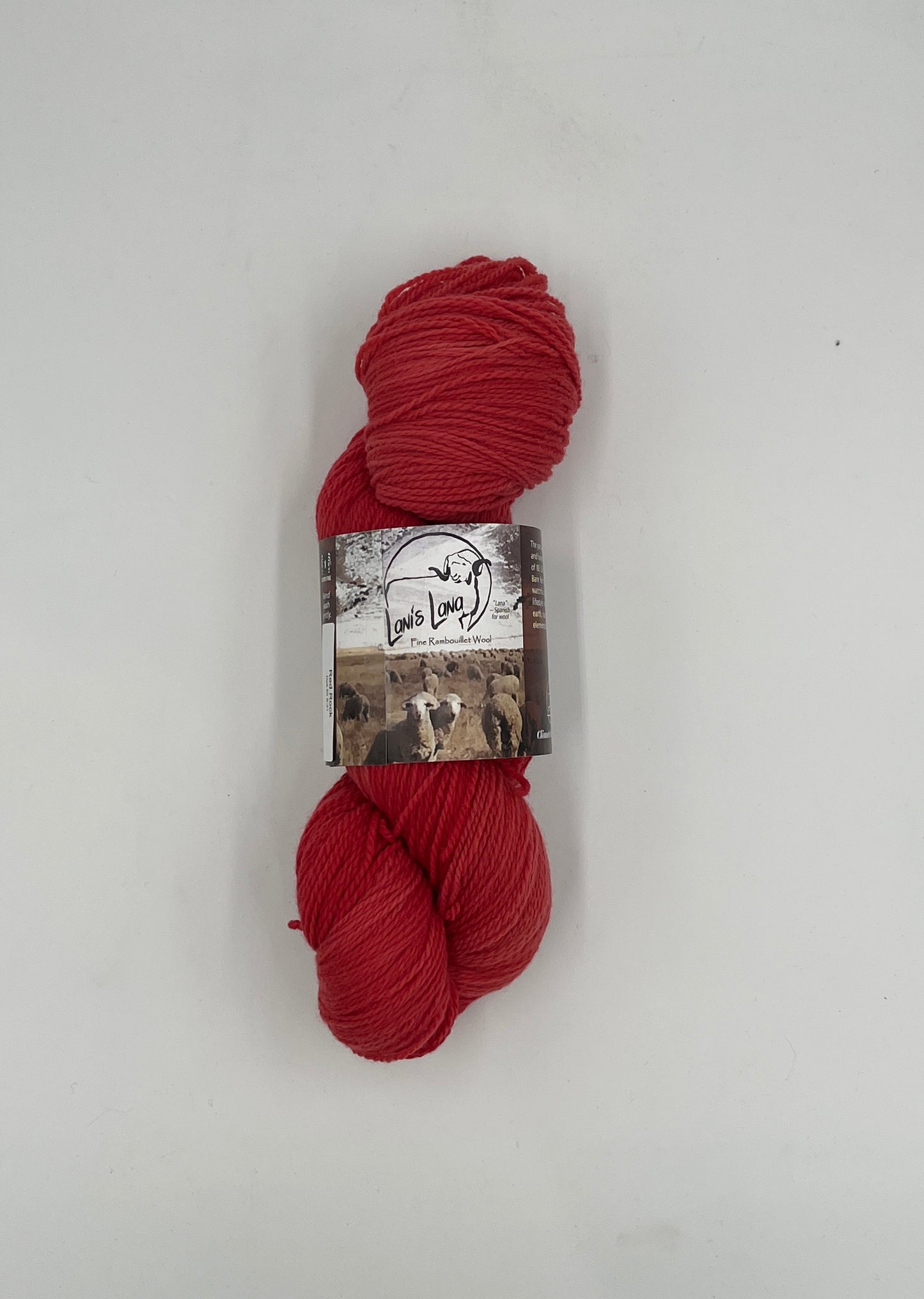 High Desert - Naturally Dyed Fingering Weight Yarn