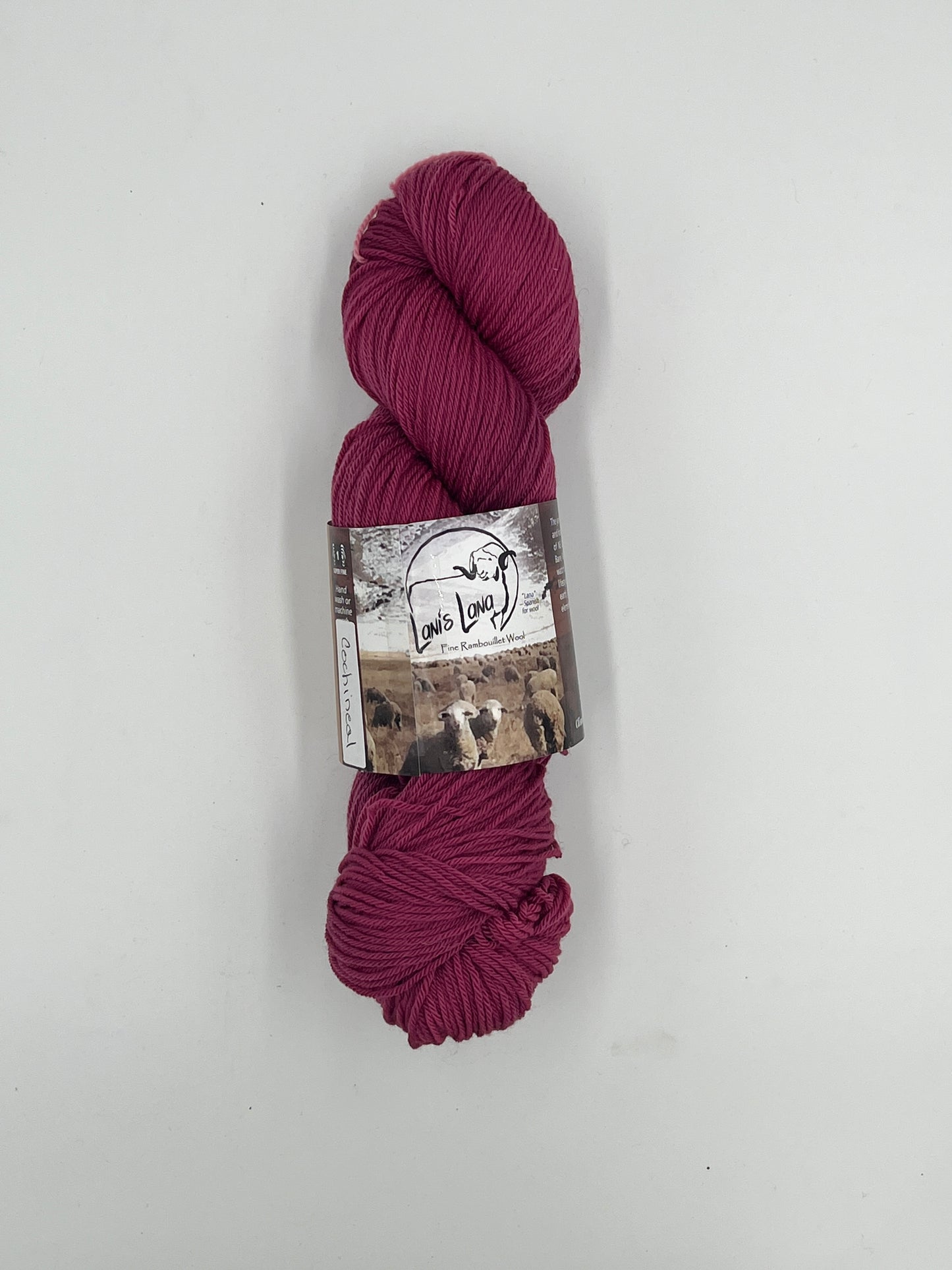 Cedar Pass - Studio Dyed Fingering Weight Superwash Yarn