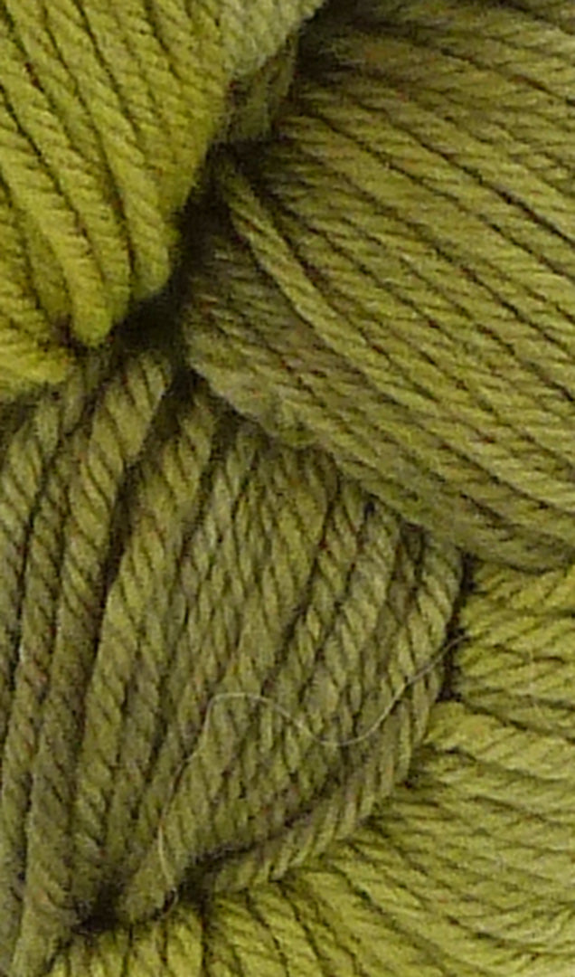 Rye Patch - Naturally Dyed Worsted/DK Weight Yarn