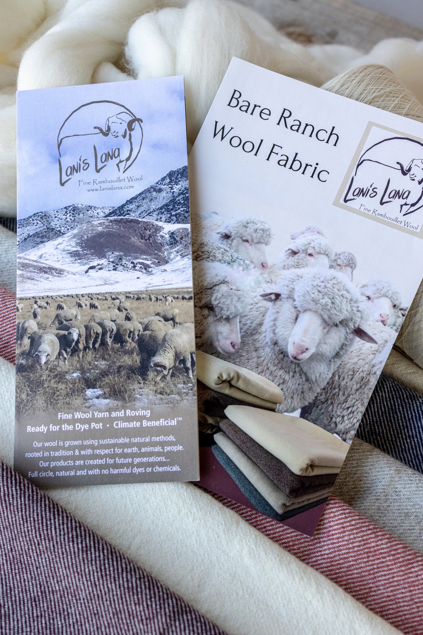 Bare Ranch Wool Twill Fabric