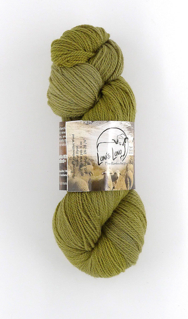 Buffalo Hills "Willow" Botanically Dyed Sport weight yarn on a Climate Beneficial Wool Base Yarn. 4 0z 3-ply skeins made and sourced in the USA. Great Olive Green shade.